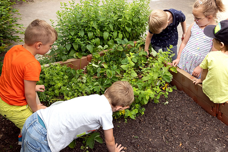 Ernährung im Kindergarten Sonnenkamp
