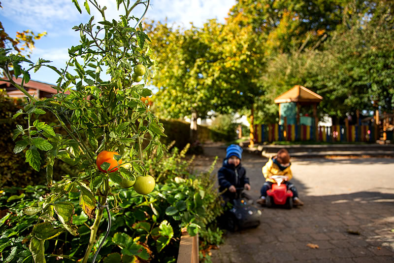 Obst & Gemüse im Kindergarten Sonnenkamp